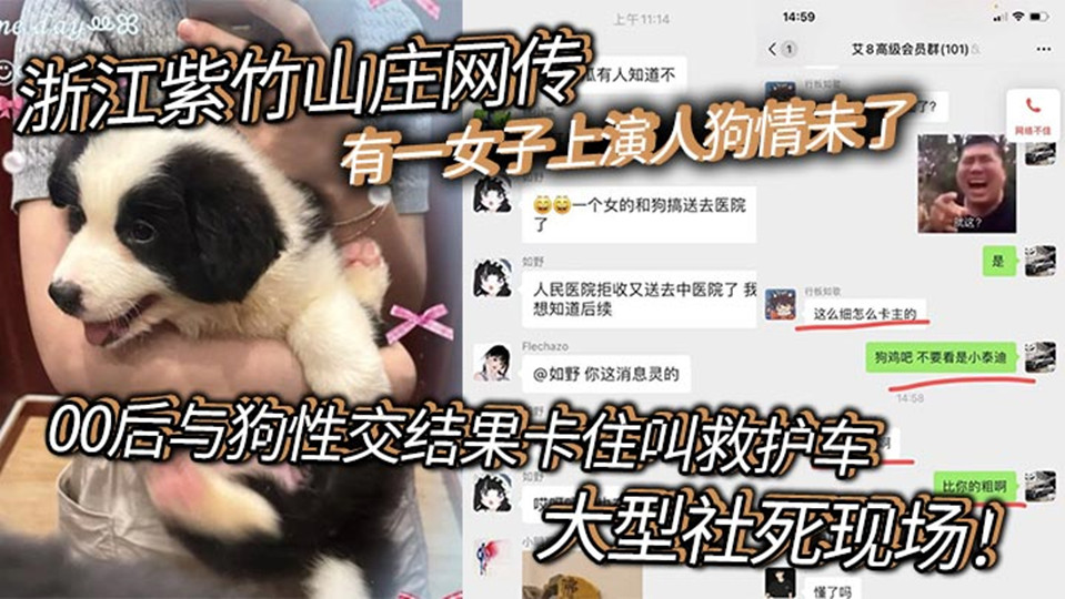 【老瓜新吃】浙江紫竹山庄网传有一女子上演人狗情未了！00后与狗性交结果卡住叫救护车