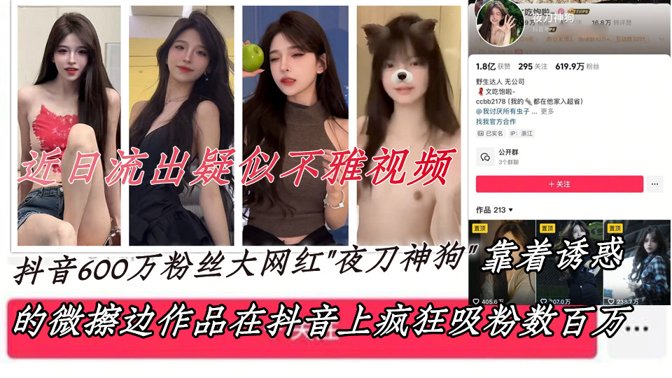 抖音600万粉丝大网红【夜刀神狗】小姐姐凭借着自己的颜值和身材，靠着诱惑的微擦边作